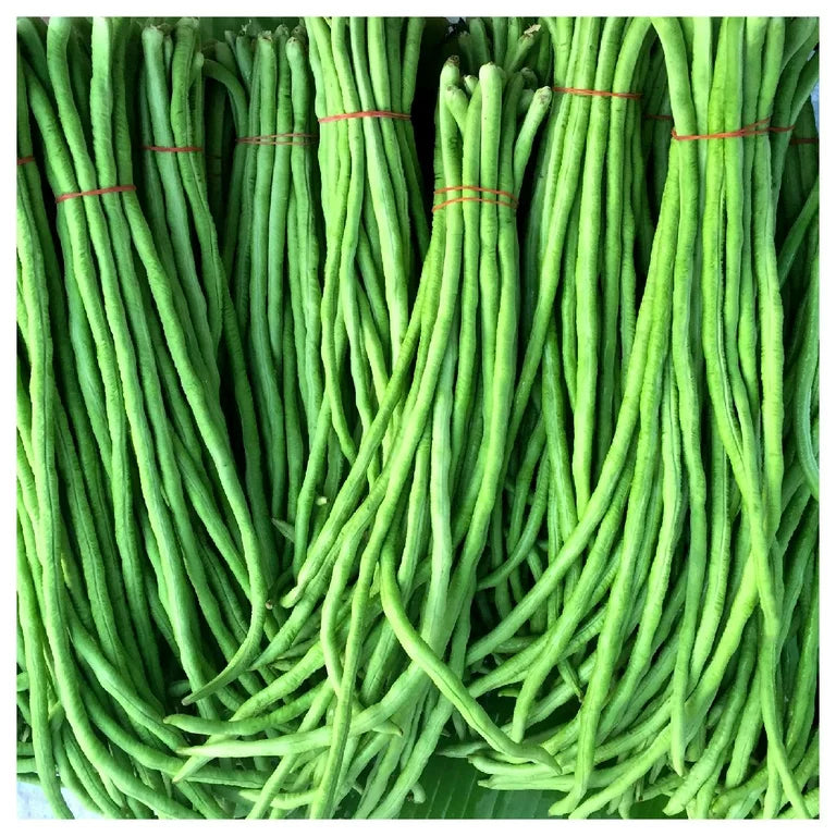 Green Long Beans