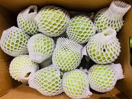 Thai Guava - FL (20 LB)