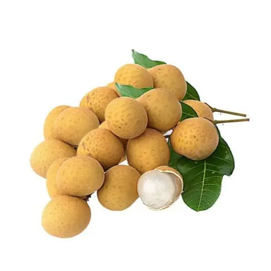 Longan 'Kohala'