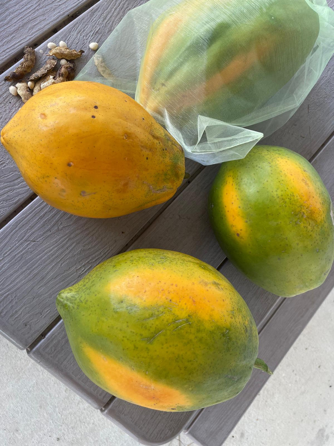 Papaya
