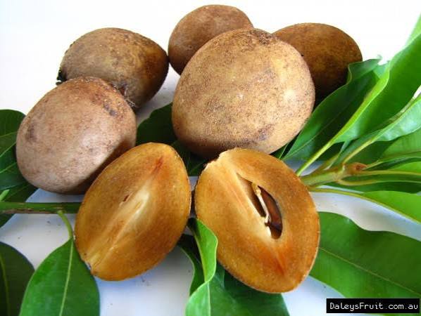 Caimito (Star Apple / Milk Fruit)