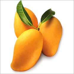 Mango - 9 LB with Free Express Shipping (Price varies based on variety)