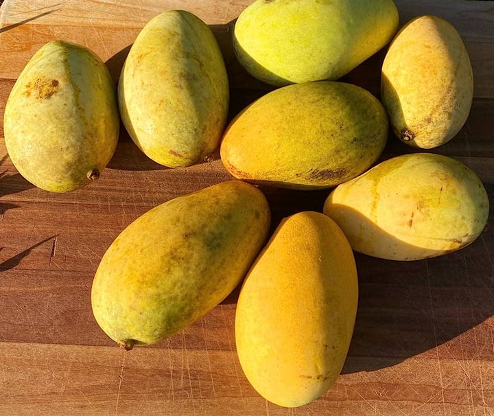 Mango - 9 LB with Free Express Shipping (Price varies based on variety)