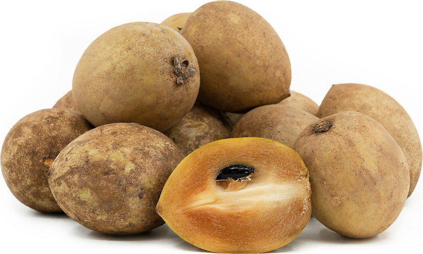 Sapodilla / Sapaote