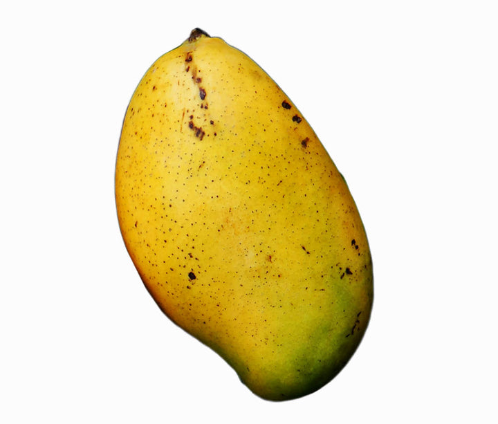 Mango - 9 LB with Free Express Shipping (Price varies based on variety)