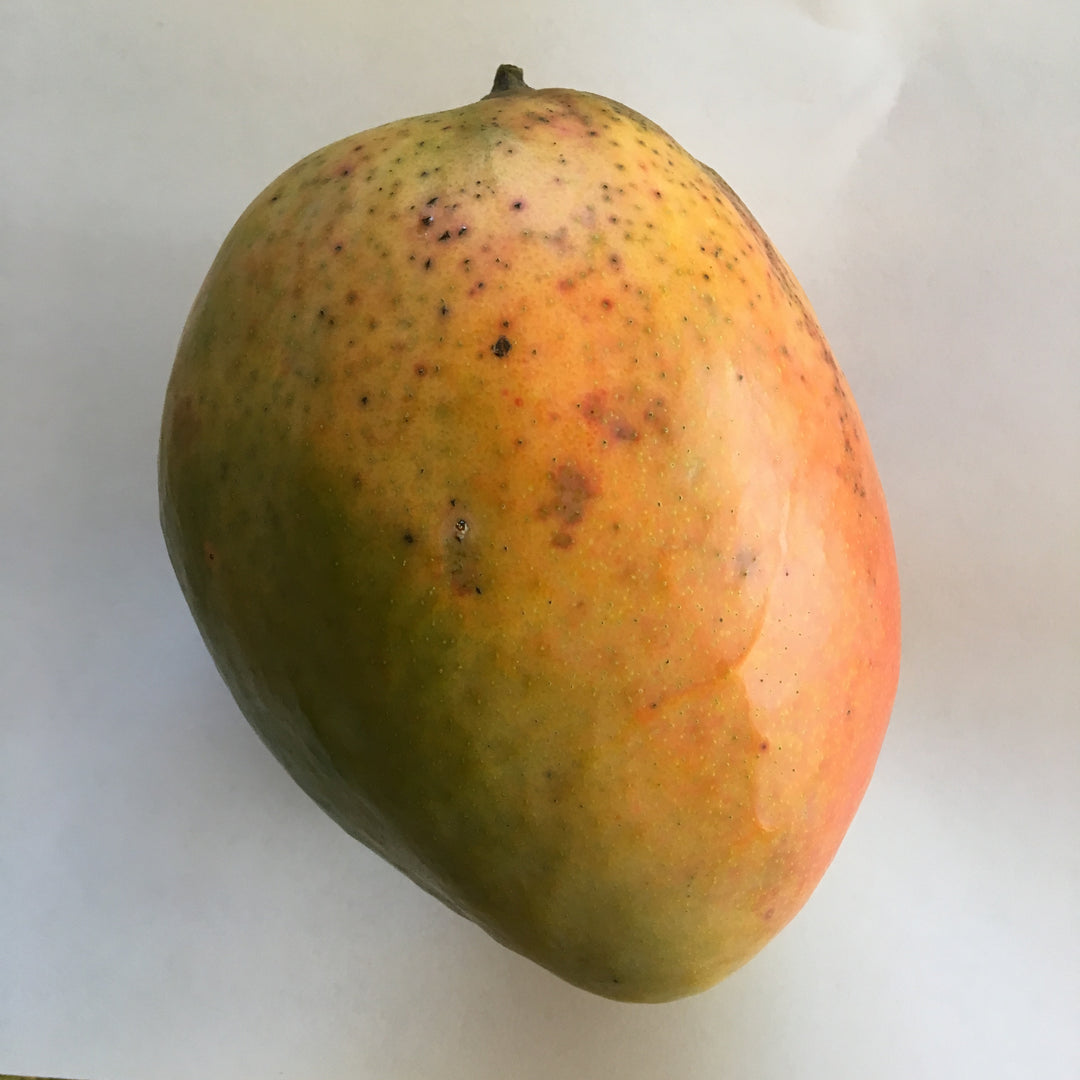 Mango - 9 LB with Free Express Shipping (Price varies based on variety)