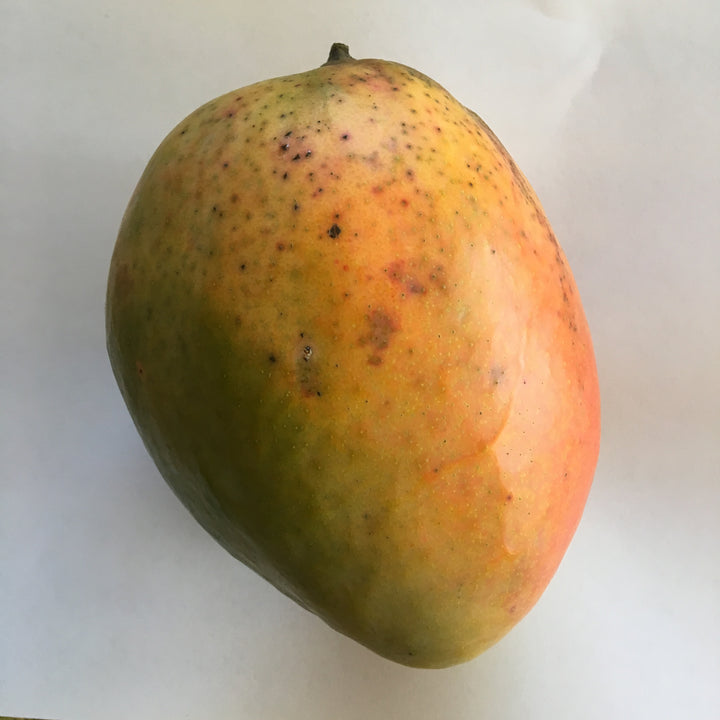 Mango - 9 LB with Free Express Shipping (Price varies based on variety)