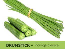 Drumsticks/Saragu/Moringa Pods - 5 LB with Free Shipping