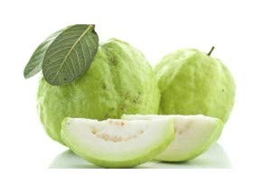 Thai Guava (Florida) - 20 LB