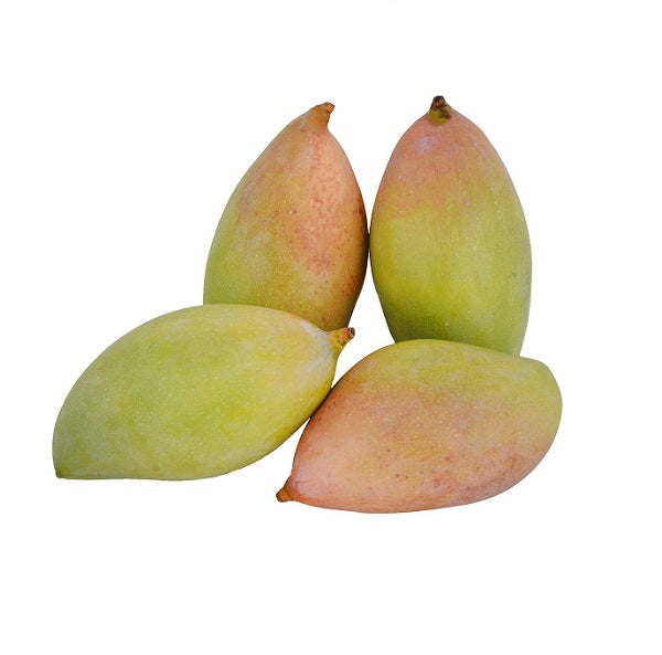 Mango - 9 LB with Free Express Shipping (Price varies based on variety)