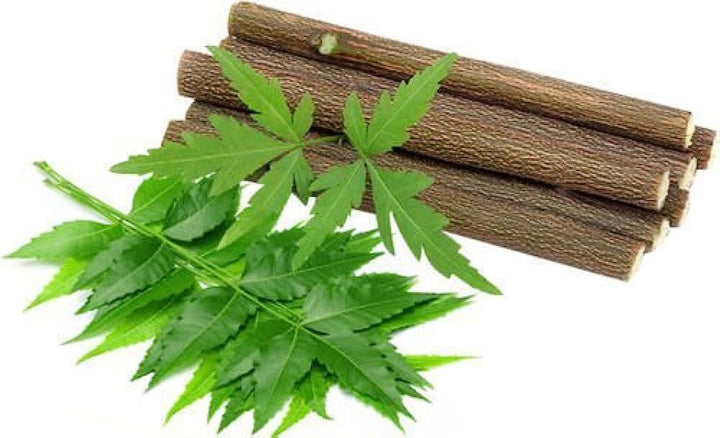 Neem Sticks / వేపపుల్లలు / வேப்பமர குச்சிகள் - 1 LB -Free Shipping