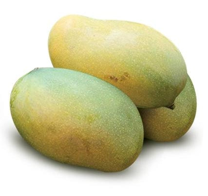 Mango - 9 LB with Free Express Shipping (Price varies based on variety)