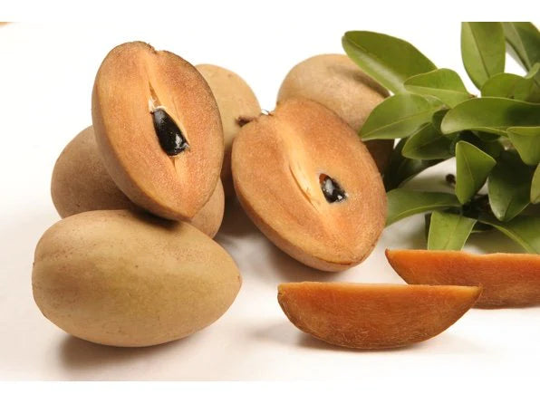 Sapodilla / Sapaote