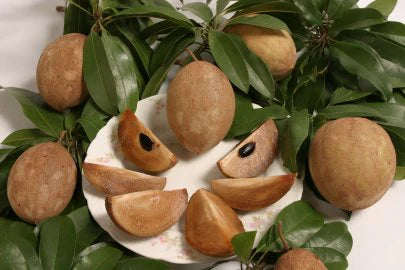 Sapodilla / Sapaote