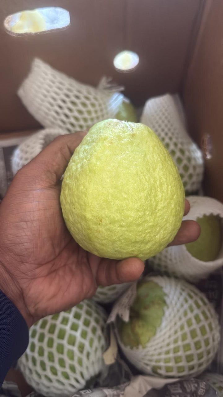 Thai Guava (Florida) - 20 LB