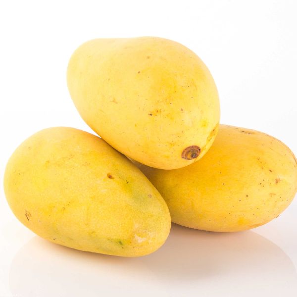 Mango - 9 LB with Free Express Shipping (Price varies based on variety)