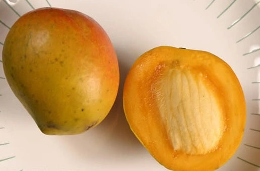 Mango - 9 LB with Free Express Shipping (Price varies based on variety)