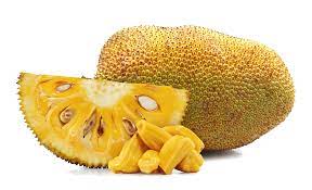 Yellow Jack Fruit