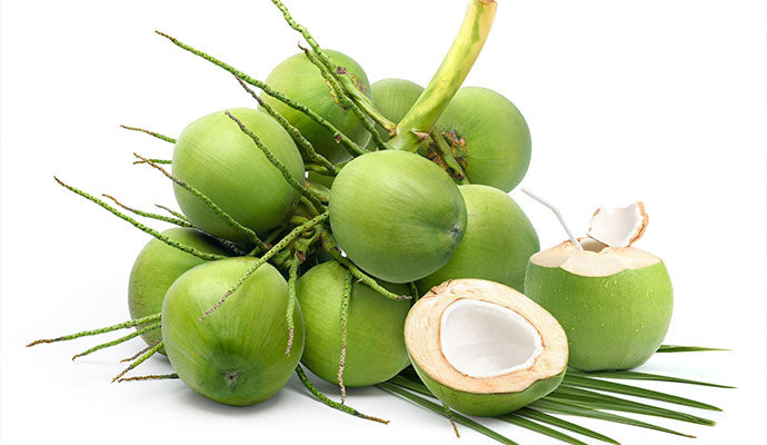 Tender Coconuts (Special for Coconut Water) - 8 Count 39.99 (Shipping Cost Extra)