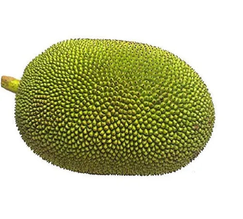 Green Jack Fruit